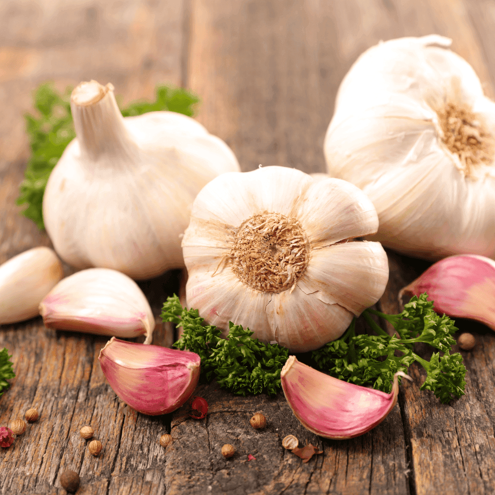 Garlic for Parasite Cleanse