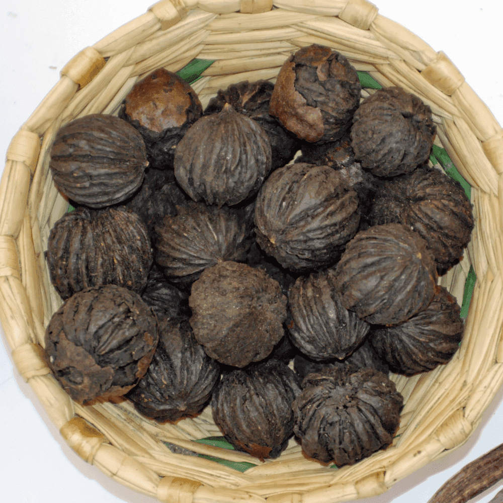 Black Walnut for Parasite Cleanse