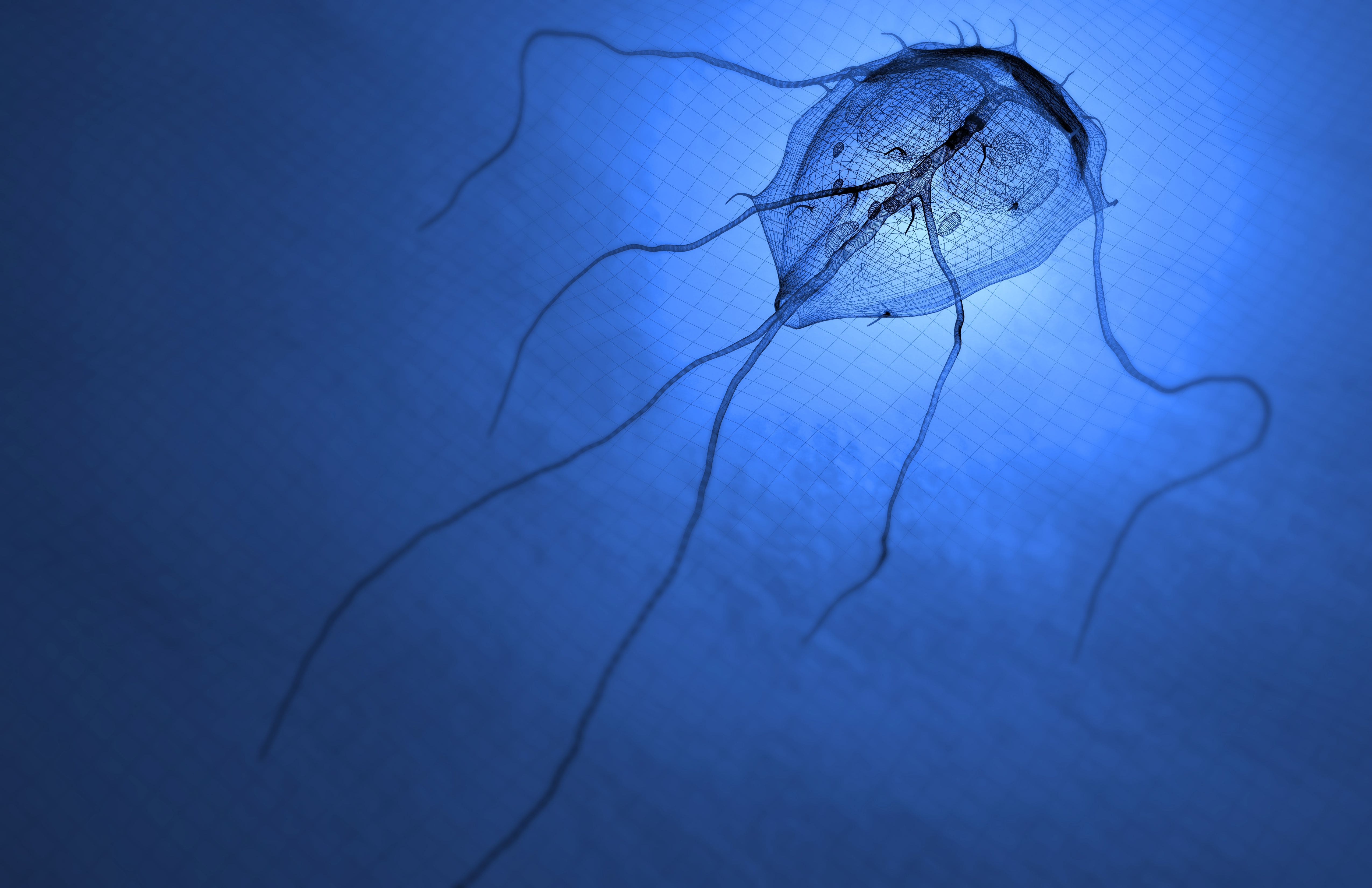 What is Giardia?