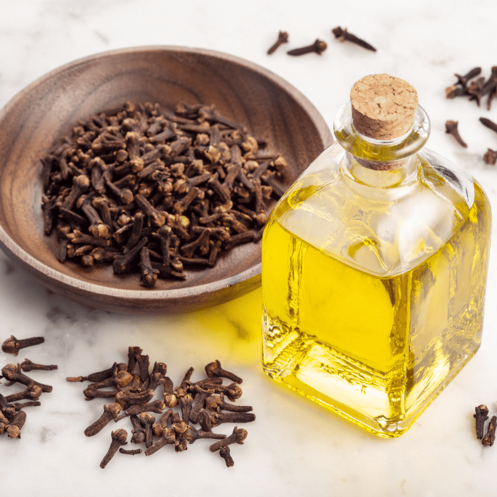 Clove Oil