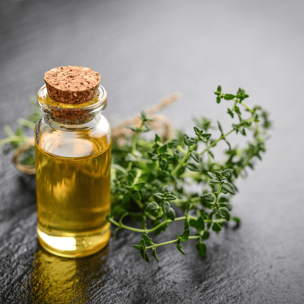 Thyme Oil